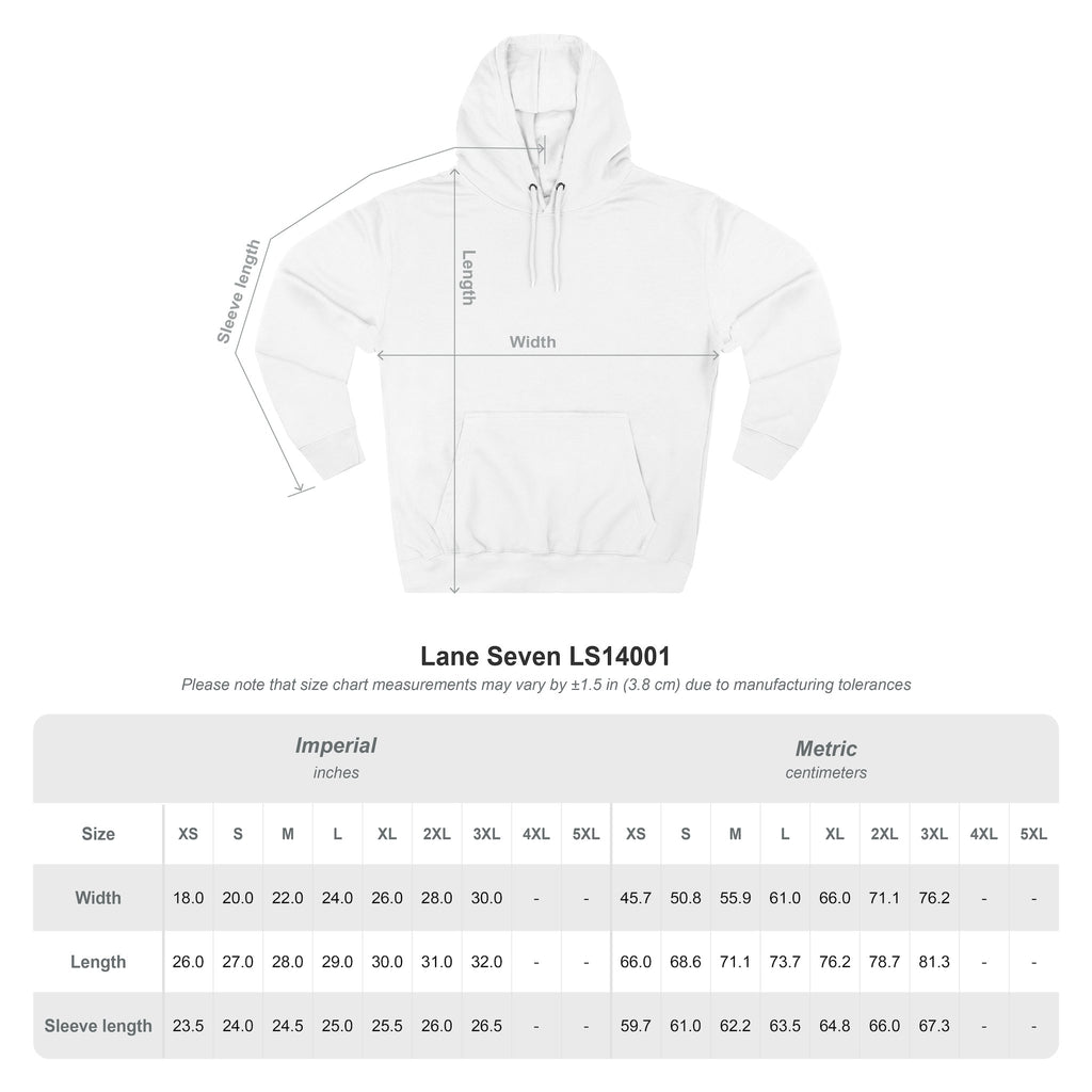 Geometric Globe Hoodie — Monochrome 3-Panel Fleece Pullover